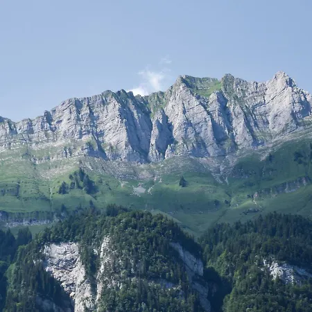 Tristenkolben 6mp